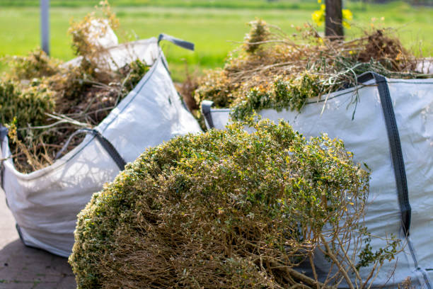 Best Same-Day Junk Removal  in Apple Valley, MN